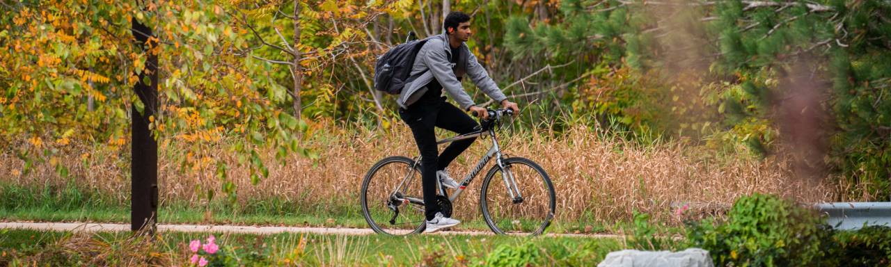 Person riding bike on sidewalk with wooded background